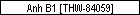 Anh B1 [THW-84059]