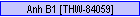 Anh B1 [THW-84059]